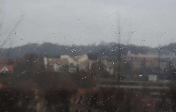 Drops, the city, rain
