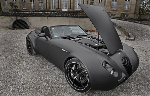 Picture car, machine, engine, motor, 3000x2000, engine, Wiesmann Black Bat