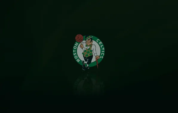 Trends International Nba Boston Celtics - Maximalist Logo 23 Framed Wall  Poster Prints : Target