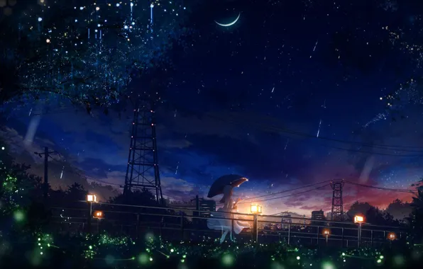 Fireflies, wire, Power lines, lights, girl, walk, new moon, starry sky