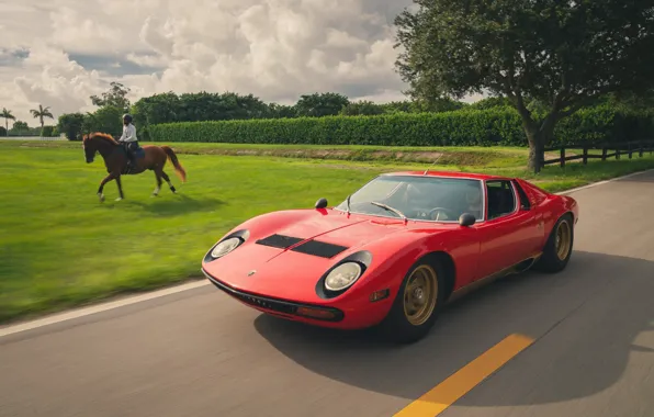 Picture Lamborghini, 1971, supercar, road, Miura, horse, Lamborghini Miura P400 SV