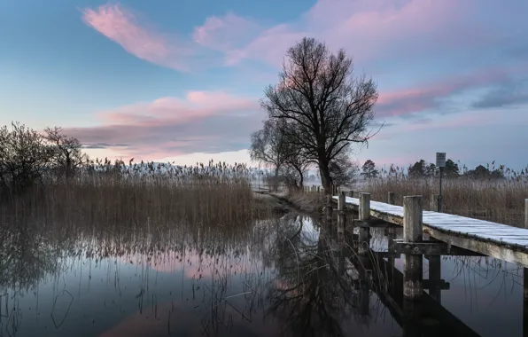 Bridge, nature, lake