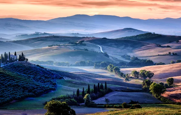 Trees, landscape, mountains, nature, panorama