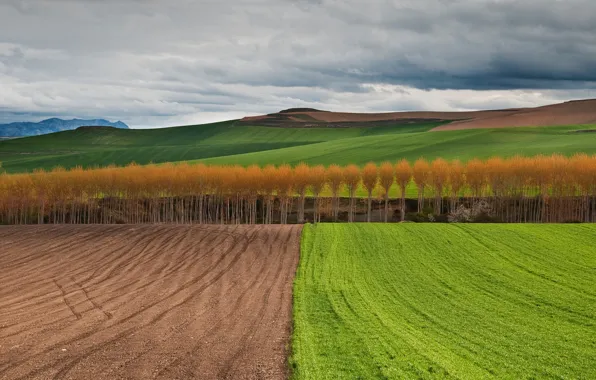 Field, autumn, clouds, trees, mountains, strip, hills, the slopes