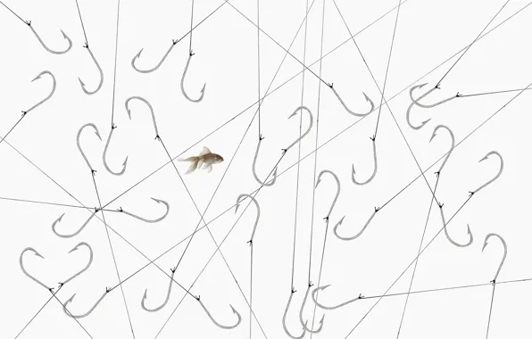 Picture background, fish, hooks