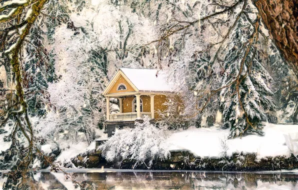 Picture snow, trees, house