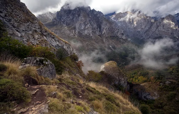 Landscape, mountains, fog