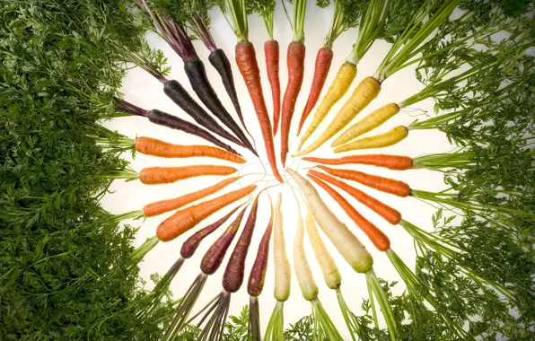 Picture food, a profusion of color, carrots