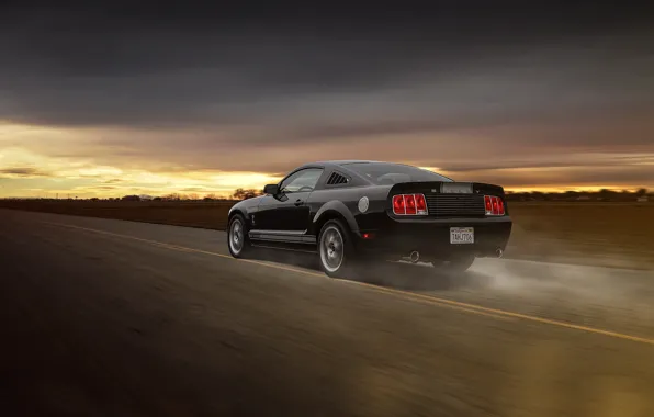 Picture Mustang, Ford, Muscle, Car, Speed, Grey, Road, Collection