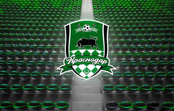 Sport, Logo, Bull, Logo, Russia, Seat, Football club, Bulls