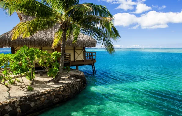 The sky, water, clouds, nature, Palma, the ocean, house, The Maldives