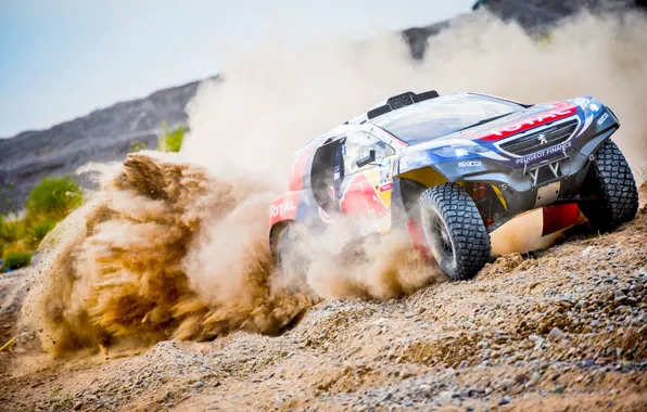 Sand, 2008, Sport, Speed, Race, Skid, Dirt, Peugeot