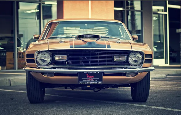 Mustang, ford, vintage, 1970, classic, mach 1