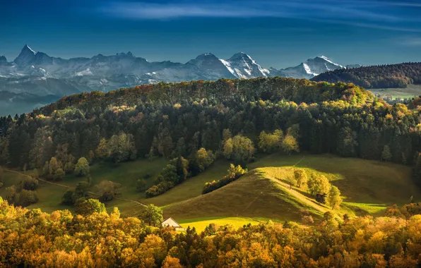 Autumn, forest, mountains, Switzerland, Switzerland, Bernese Alps, The Bernese Alps, Bernese Oberland