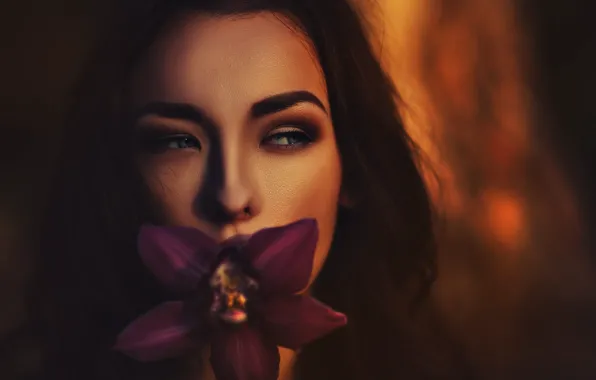 Flower, purple, look, girl, light, sunset, face, background