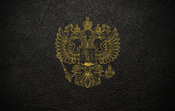 Leather, scratches, gold, black background, coat of arms, Russia, coat of arms of Russia