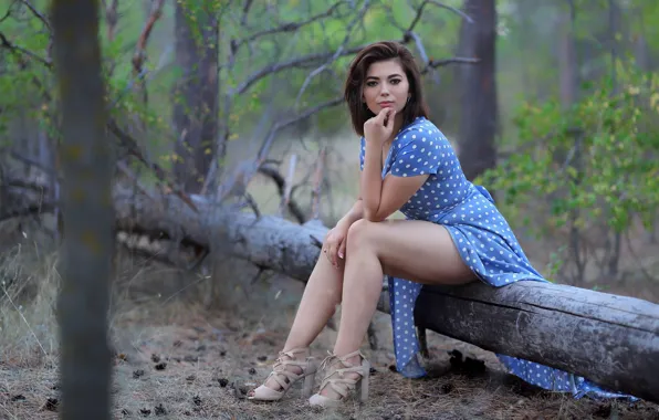 Picture Girl, Wood, Blue, Forest, Dress, Sight