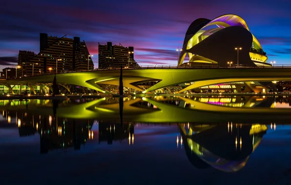 Picture lights, the evening, Spain, Valencia, Palace of arts Reina Sofia