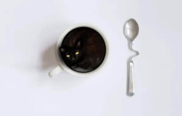 Picture kitty, spoon, Cup