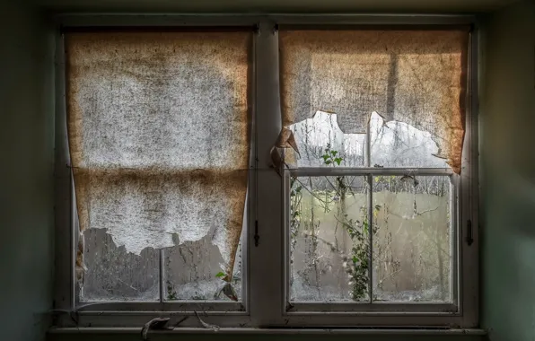 Paper, dust, window