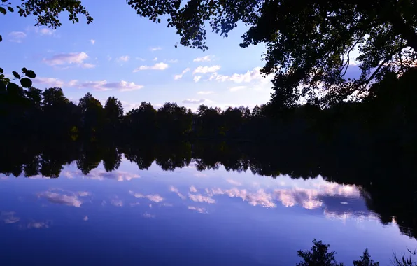 Forest, the sky, clouds, trees, landscape, sunset, nature, lake