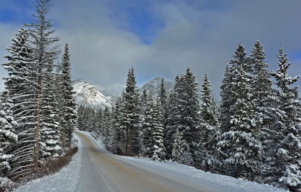 Winter, road, Banff National Park