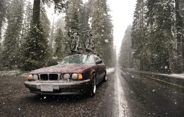 Picture road, snow, bike, BMW, speed, dirt, classic, 525i