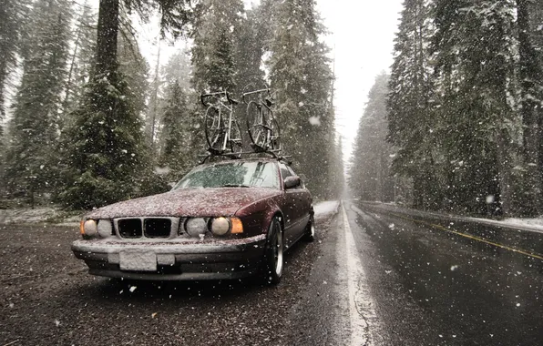 Road, snow, bike, BMW, speed, dirt, classic, 525i