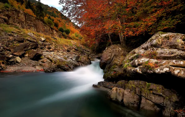 Autumn, landscape, nature, river