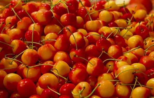 Macro, berries, a lot, cherry