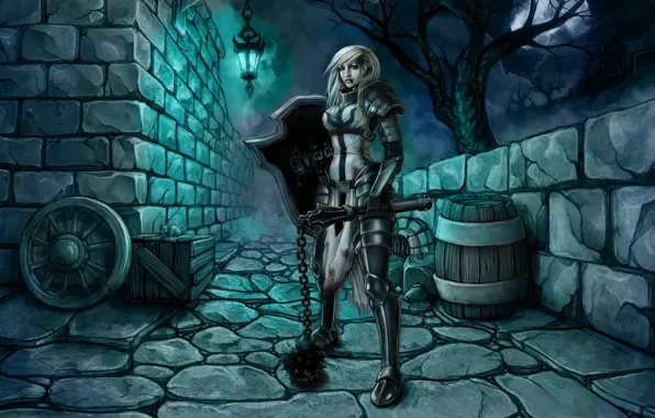 Armor, Crusader, Diablo III: Reaper of Souls, morgenstern