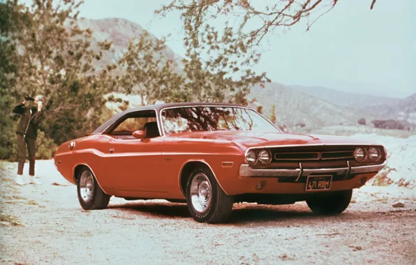 Picture machine, 1971, Dodge, Challenger, muscle car, the front, handsome