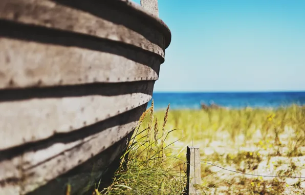 Summer, the sky, grass