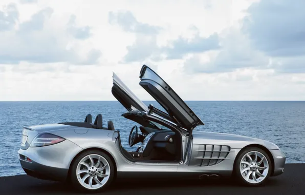 Sea, auto, wings, door