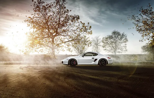 Picture Porsche, Sky, Sun, White, Side, Supercar, Cayman S, Skid