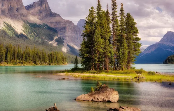 Picture trees, nature, lake