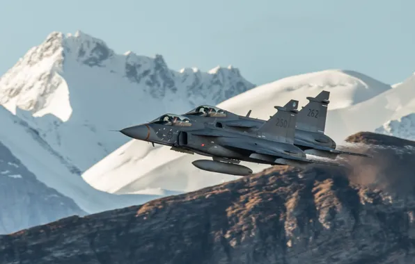 Picture You can, Gripen, JAS 39C