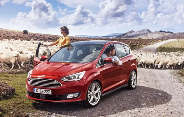 Ford, Ford, 2015, C-MAX