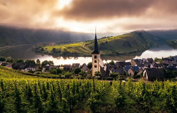 Picture church, Misty Morning, mosel, trier, vineyard