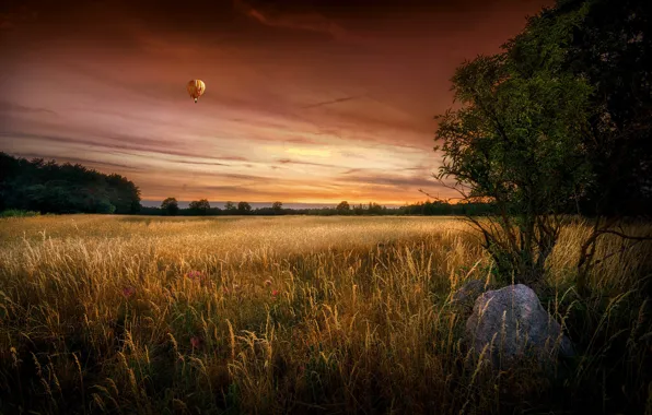 Picture field, summer, sunset, ball