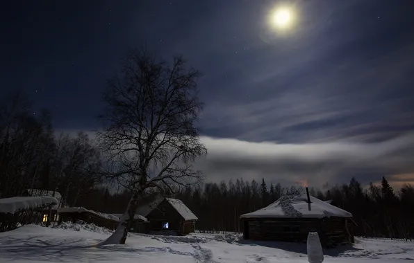 Winter, forest, the sky, stars, clouds, snow, trees, landscape