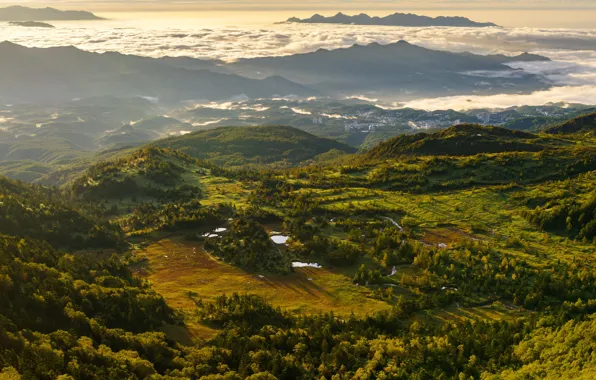 Greens, clouds, trees, mountains, fog, dawn, morning, Switzerland