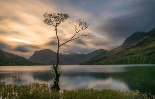 Forest, the sky, clouds, light, trees, mountains, fog, reflection