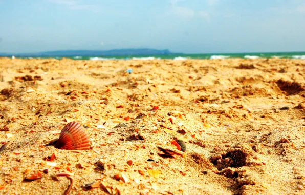 Sand, sea, summer, the sky, the wreckage, heat, shore, Beach