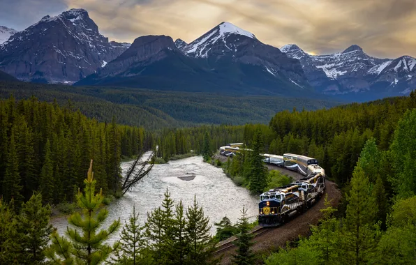 Forest, trees, mountains, river, train, railroad, Banff National Park, Canada