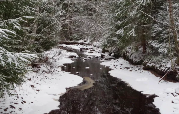 Picture winter, forest, snow, river, Finland, Finland, Southern Ostrobothnia, Makelanloukko