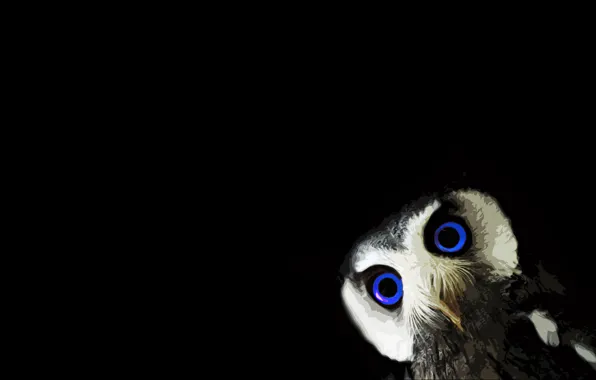 Picture black, animals, minimalism, blue eyes, black background, owl