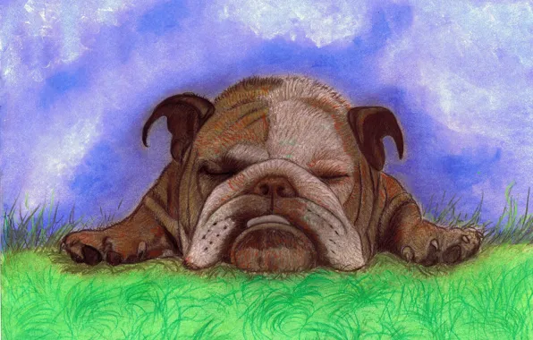 Dog, dog, pencil work