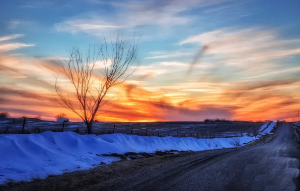 Road, trees, sunset, nature