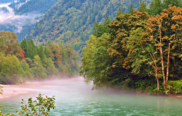 Forest, mountains, fog, river, national Park, Washington